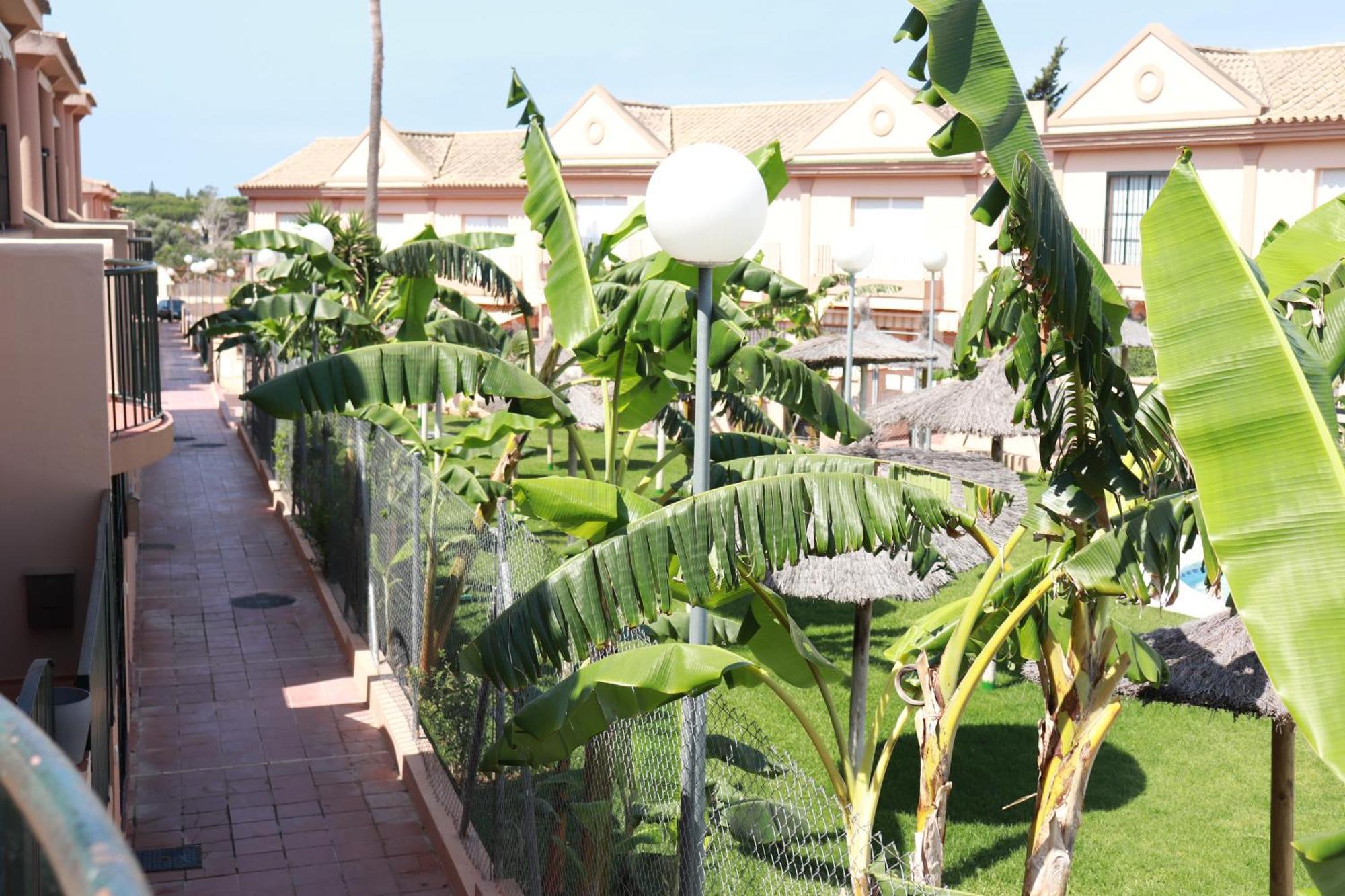 Playa La Barrosa, Alojamientoslola Chiclana de la Frontera Kültér fotó